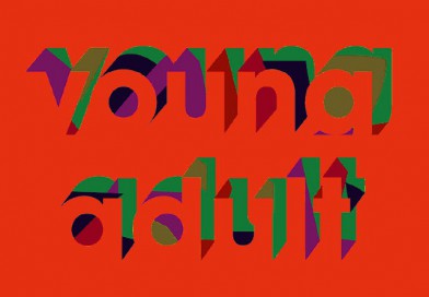 Slovenský young-adult fiction – 2. časť (Miroslava Varáčková – Sprevádzačka, Prežila som svet)